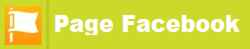 Page Facebook