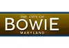 Bowie TV Logo
